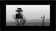 Filmstill سربازان لک لک ها را دوست دارند / Soldiers Like Storks