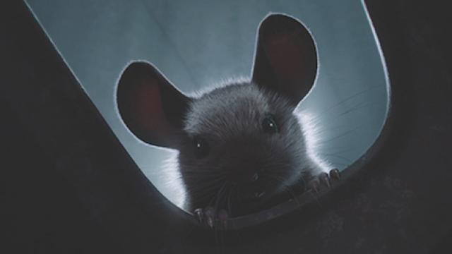 Filmstill Mice, a small story